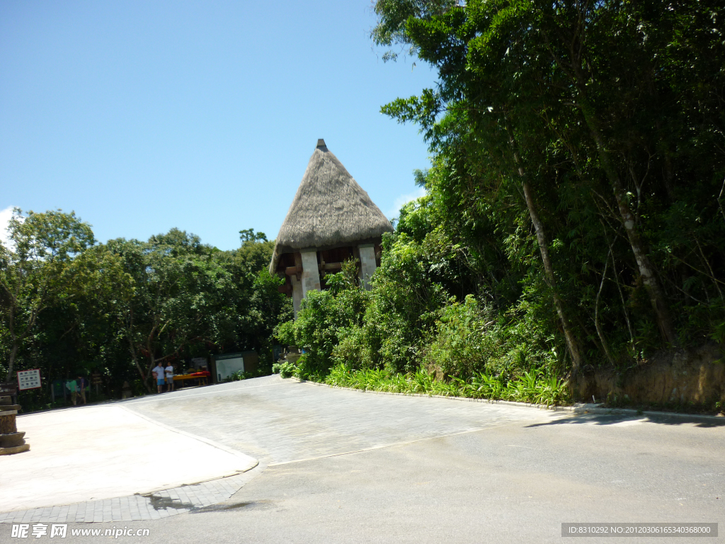 海南热带雨林小屋