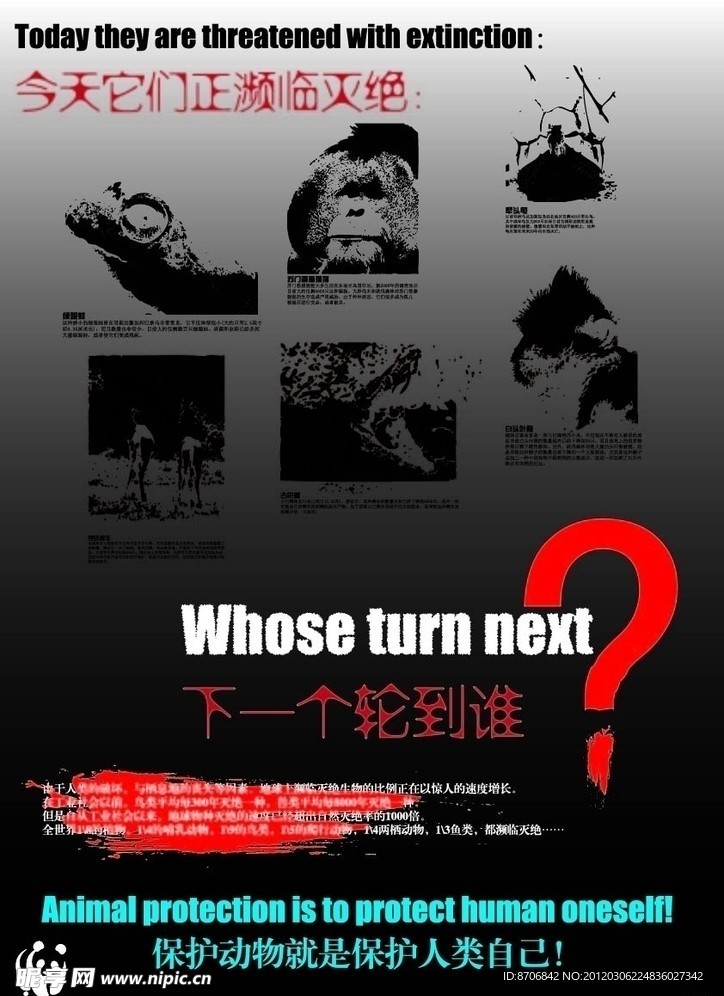 保护动物海报