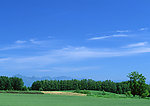 陆地旷野