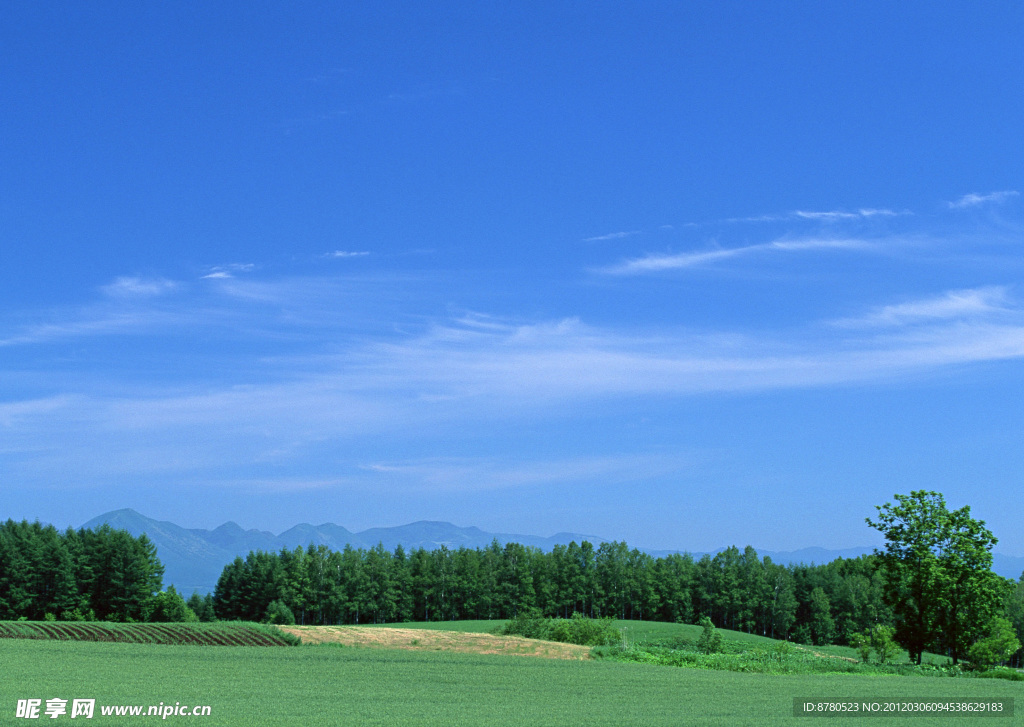 陆地旷野