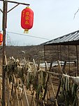 农家乐