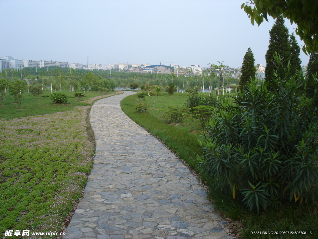 大学校园景观