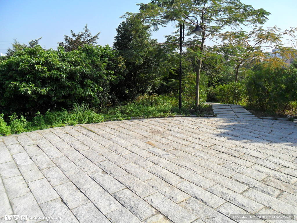 石坪