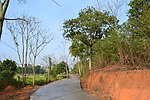 小路