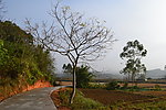农村公路