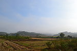 野外