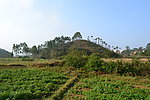 乡村