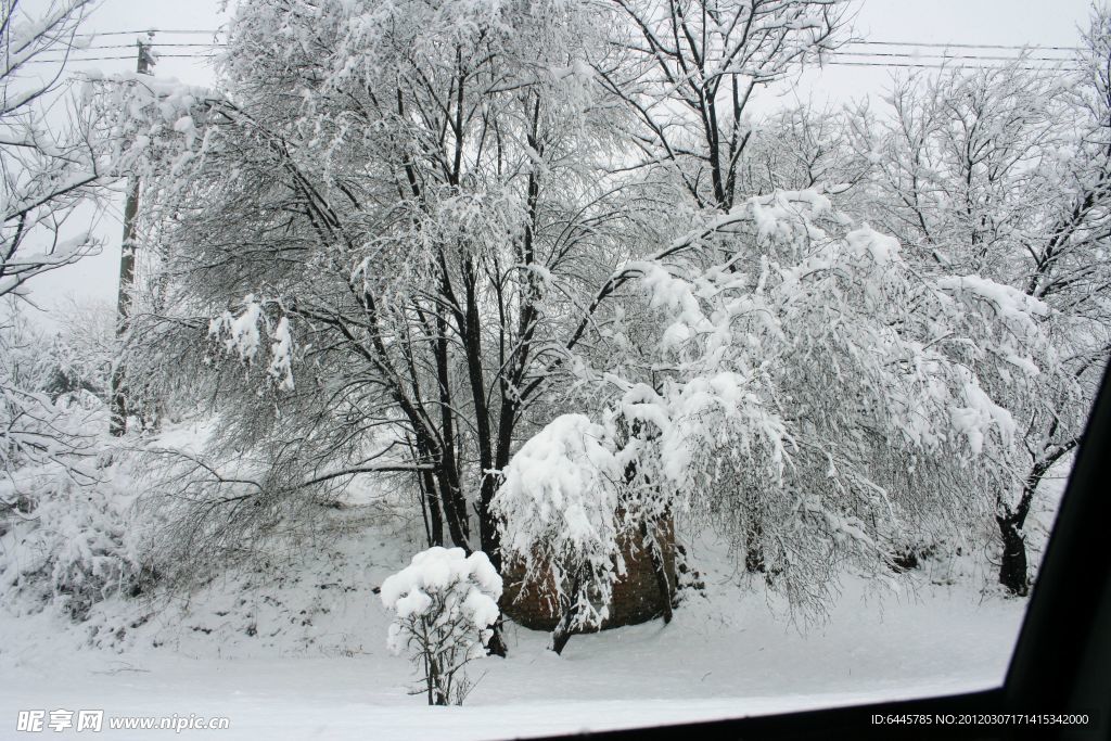 皑皑白雪