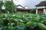 渔庄宾馆