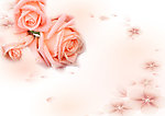玫瑰花