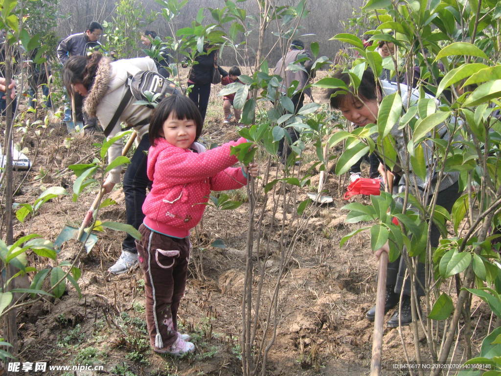 植树忙