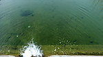 流水