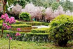 春天公园