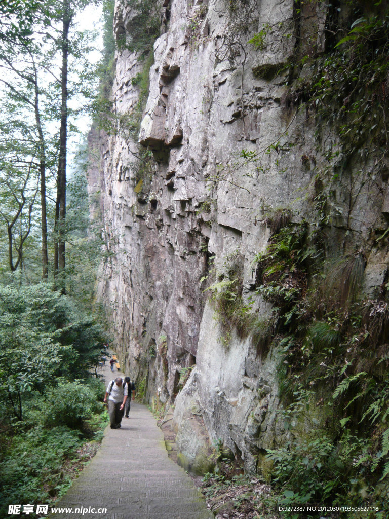 张家界山路