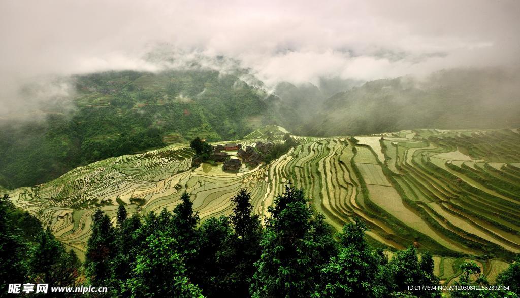 自然风景
