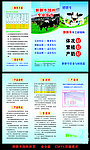 胖胖牛饲料折页