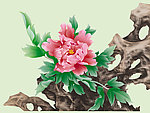 鼠绘牡丹
