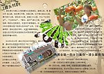 宁波旅游 滕头村