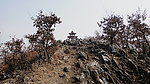 观山亭