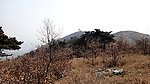 亭子与山树