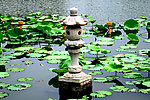 水上小柱子