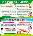 预防乙肝母婴传播