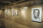 上海美术馆展示作品