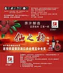 仙之梅广告