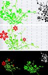 花生长