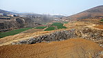 山下 绿地
