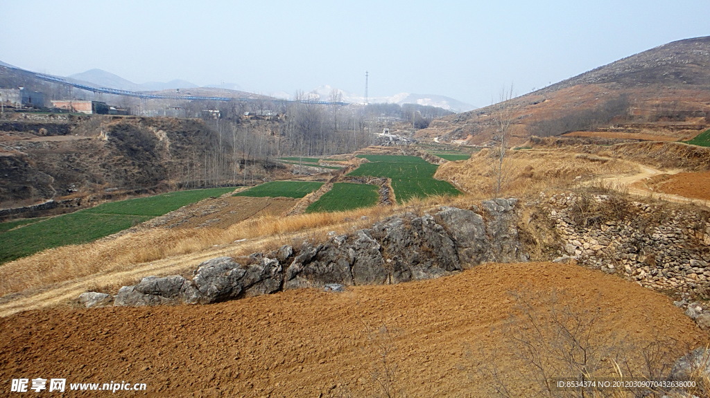 山下 绿地