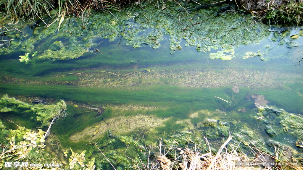 清水 流水