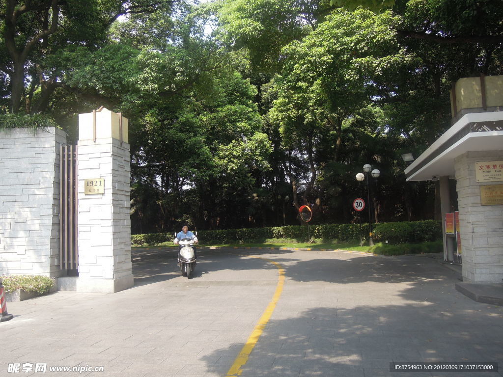 绿树景色