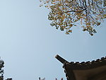 天空