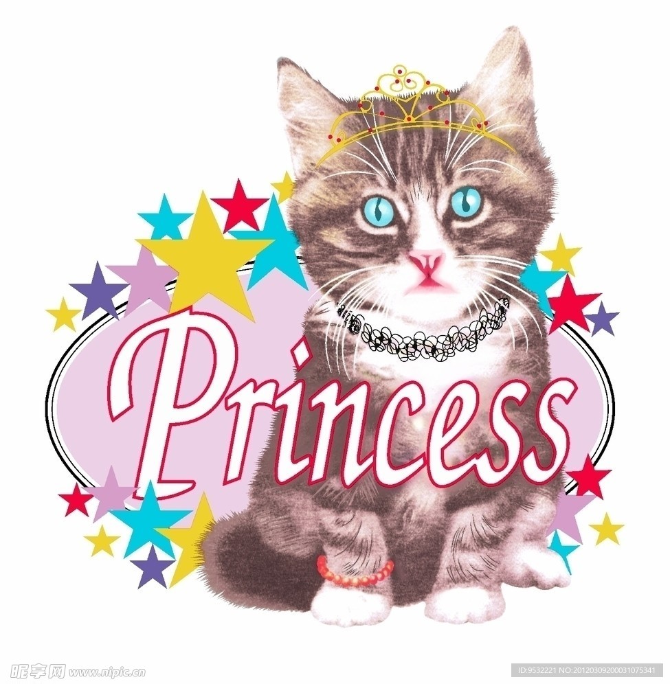 猫咪