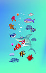 海底世界 海鱼 鲨鱼
