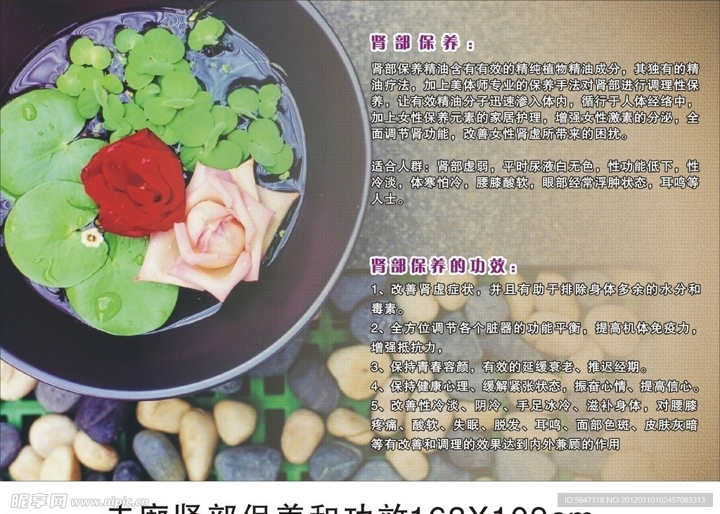 走廊肾部保养和功效