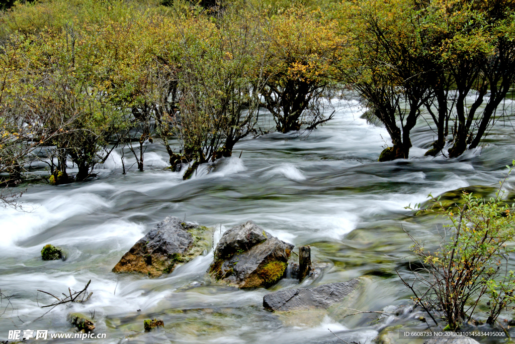 小溪河流风光