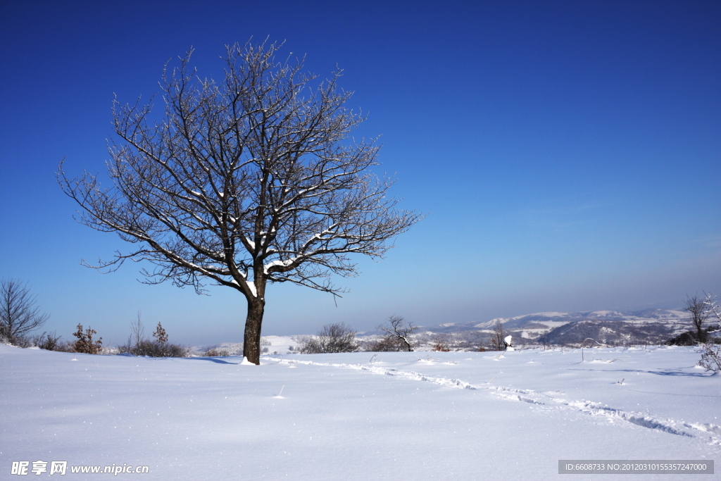 冬日冰雪风光