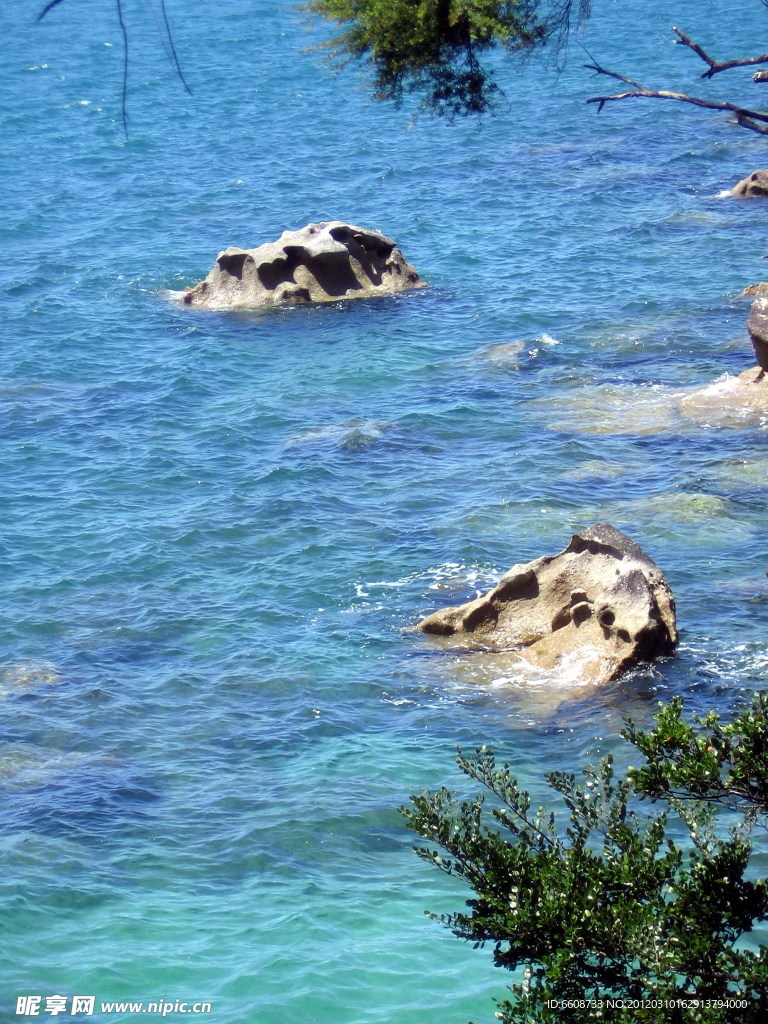 海洋素材