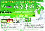 阳春羊奶