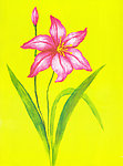 油画花卉