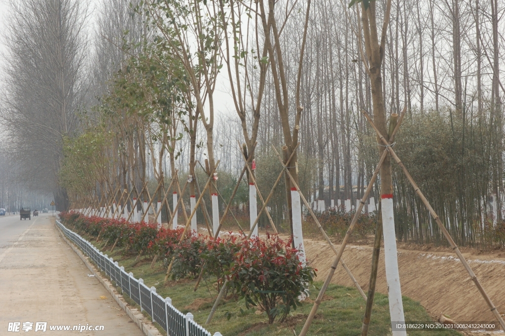 绿化景观