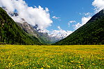 高原风光