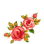 玫瑰花