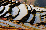 新山梯田