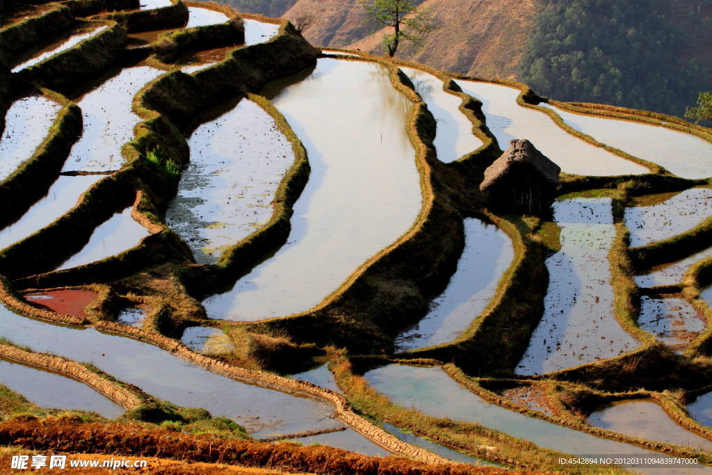 新山梯田