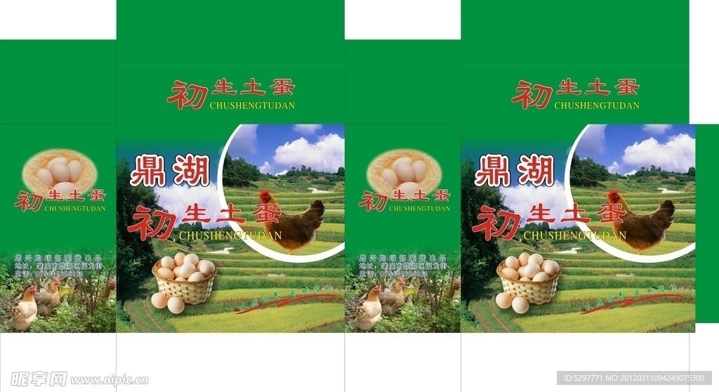 鸡蛋箱