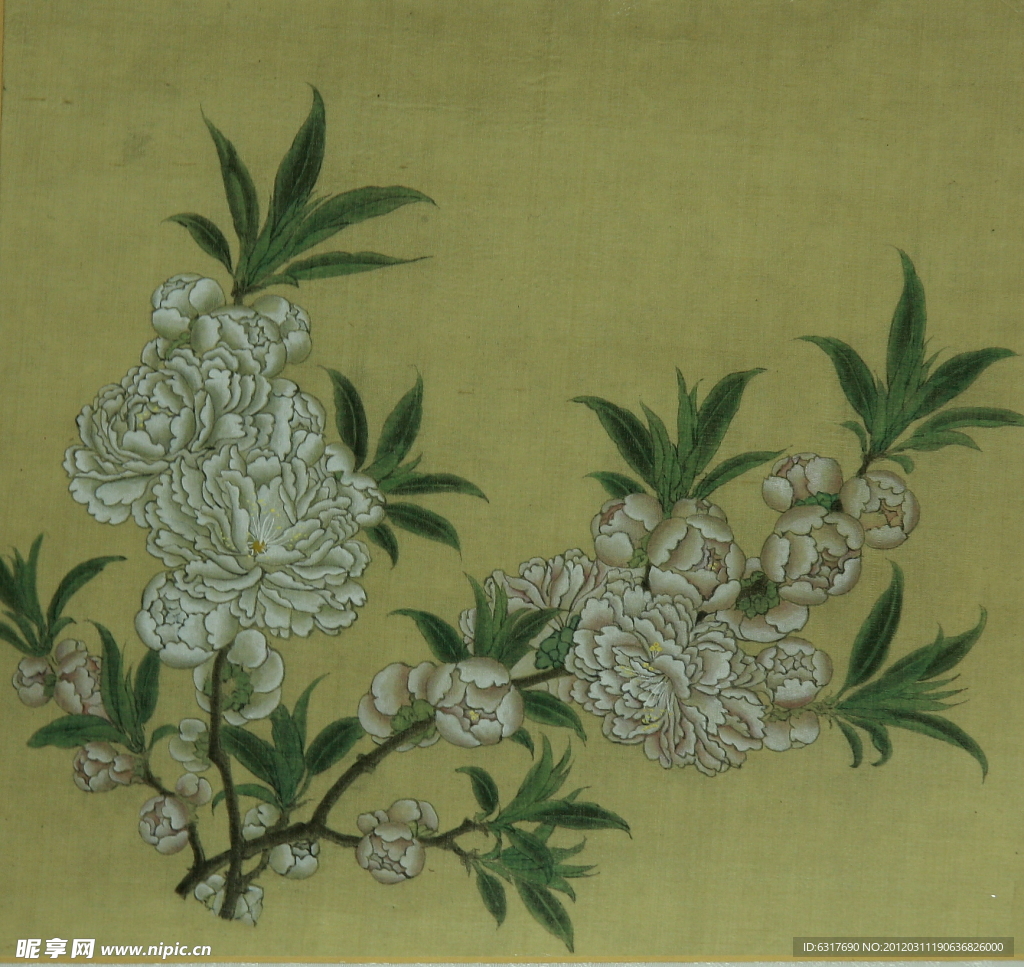 桃花