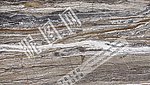 大理石 罗马金